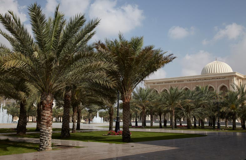 أمريكية الشارقة تطلق برنامج ماجستير العلوم في الاقتصاد والسياسات