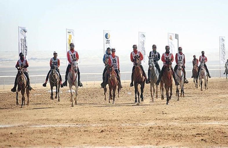 اكتمال الاستعدادات لانطلاق كأس رئيس الدولة للقدرة