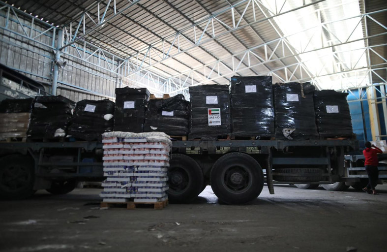 الإمارات تعلن إيصال 400 طن من المساعدات الغذائية لسكان غزة