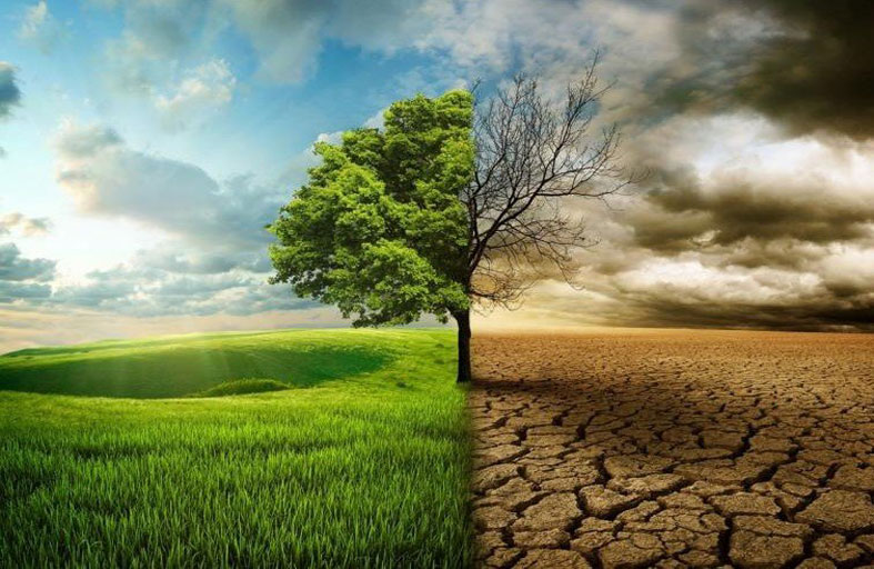 تغير المناخ يفاقم خطر اندلاع النزاعات