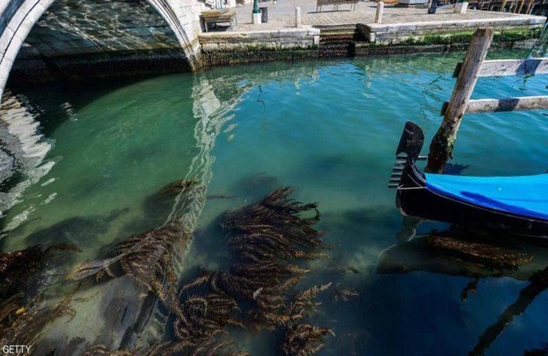 الحياة الطبيعية تعود إلى البندقية