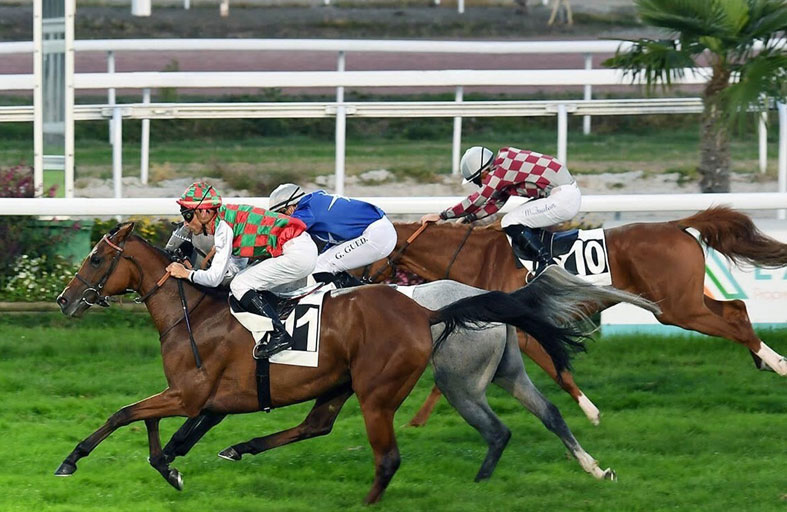 اليوم.. 24 خيلاً تشارك في سباقي كأس «الوثبة ستاليونز» بباريس