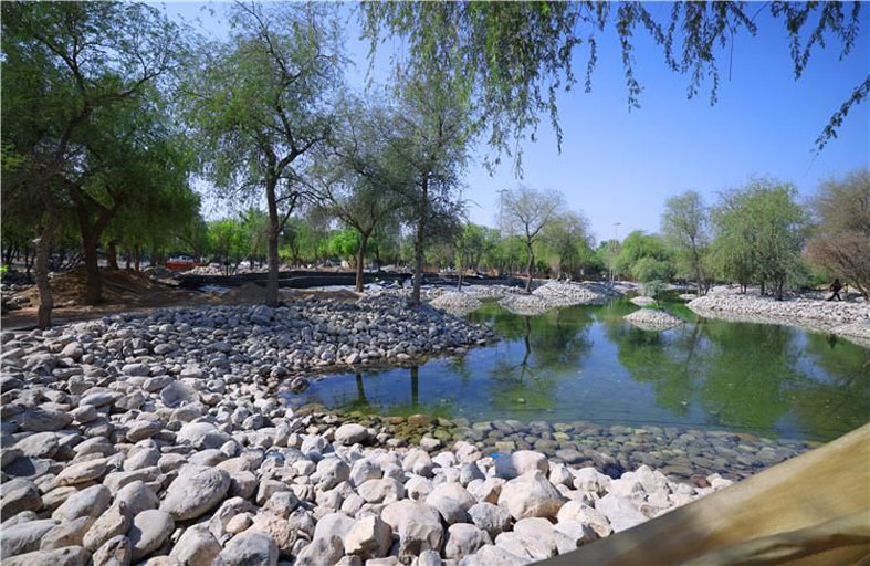 بلدية مدينة العين تطور غابة وادي الصاروج لتصبح وجهة ترفيهية متكاملة