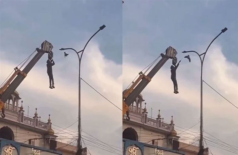 يخاطر بحياته لإنقاذ طائر علق بين أسلاك الكهرباء