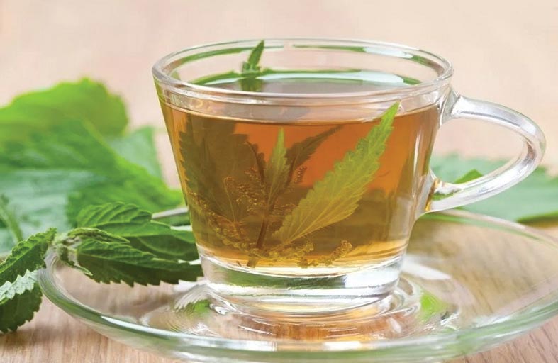 خبراء: شاي الأعشاب يساعد على محاربة التدخين