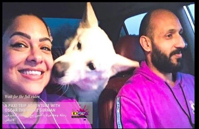 أليفكوم باكسي..خدمة جديدة لنقل الحيوانات الأليفة في القاهرة