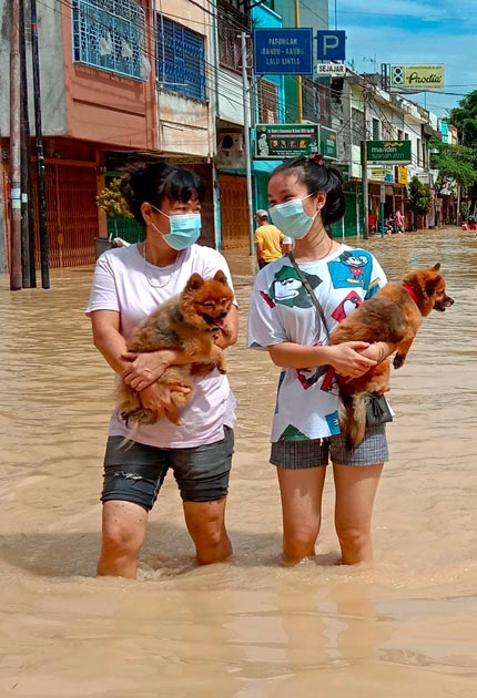 فتاتان تحملان كلبيهما وهما يخوضان في مياه الفيضانات في تيبينج تينجي، حيث غمرت المياه آلاف المنازل في شمال سومطرة الأندونيسية بعد هطول أمطار غزيرة على المنطقة.  ا ف ب