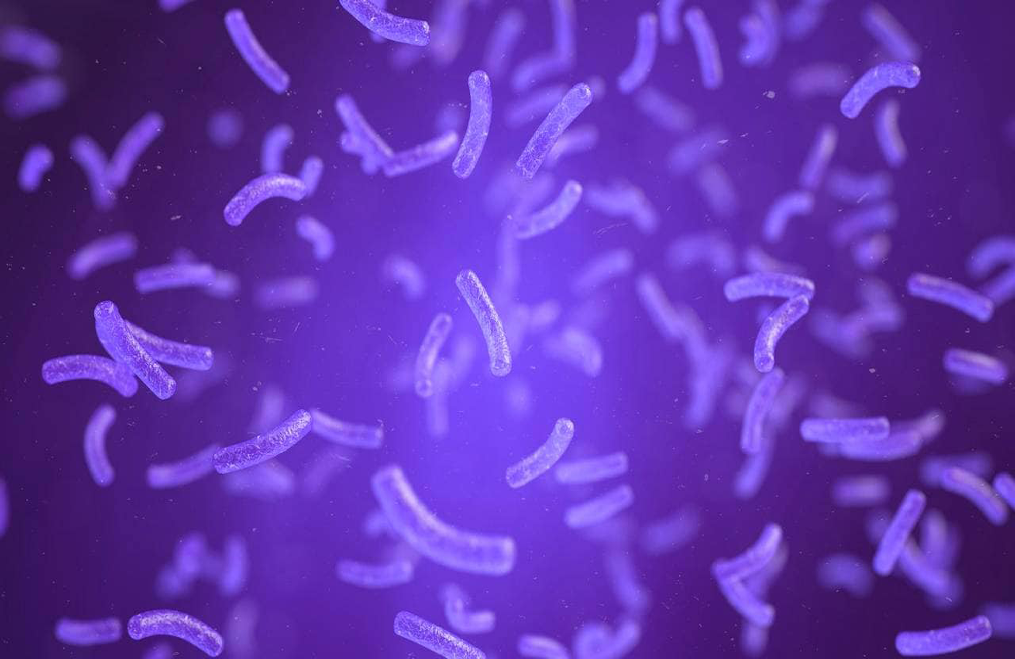 علماء ينجحون في إعادة إحياء بكتيريا عمرها ملايين السنين