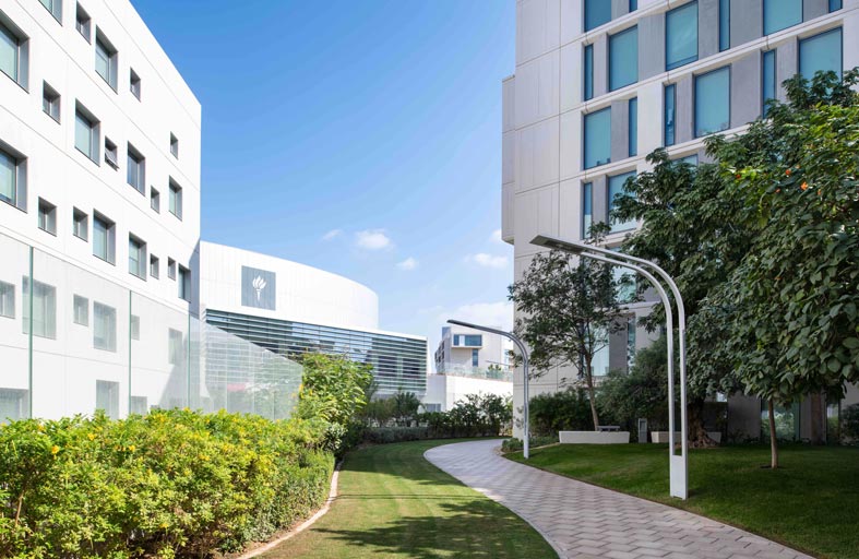 نيويورك أبوظبي تحتفي بذكرى تأسيسها العاشرة عبر سلسلة فعاليات افتراضية