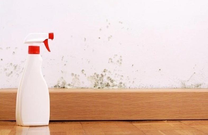 تشارك وصفة لبخاخ منزلي الصنع للتخلص من العفن
