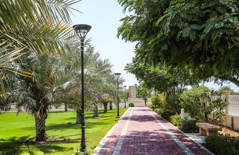 مصابيح صديقة للبيئة في عدد من حدائق الشارقة