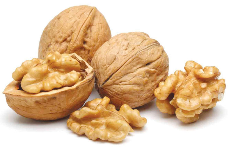    الجوز