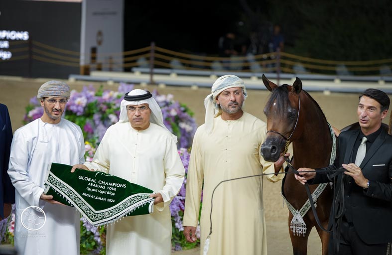 مربط دبي يحتل المركز الأول في الرباطية لجمال الخيل