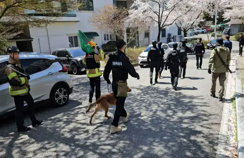 300 عنصر يبحثون عن ذئب هارب