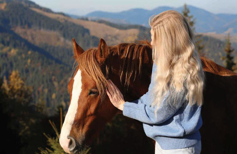 جلسات الخيول.. بديل مبتكر للعلاج النفسي التقليدي