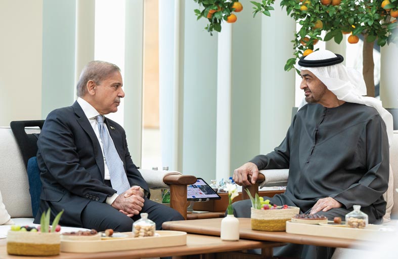 رئيس الدولة ورئيس وزراء باكستان يبحثان علاقات التعاون بين البلدين 