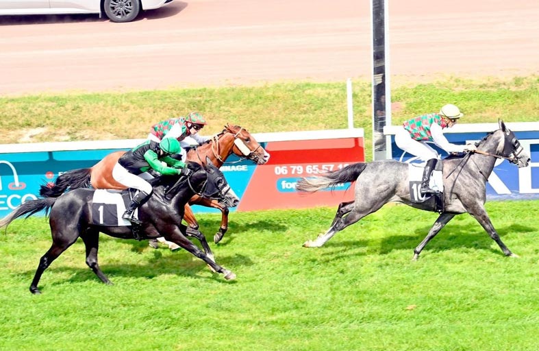 خيول ياس تتصدر كأس الوثبة بفرنسا