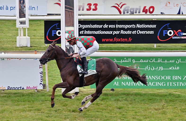 المهر «مراد» بطلاً لكأس مهرجان منصور بن زايد في فرنسا