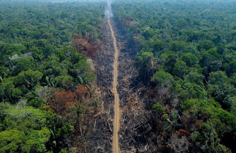 خطة برازيلية صارمة لحماية غابات الأمازون
