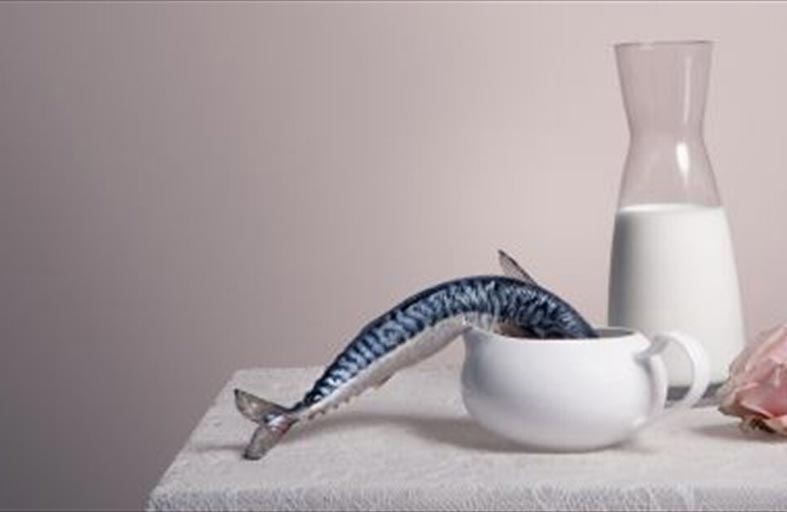 شرب الحليب بعد تناول السمك.. هل يتسبب بأمراض جلدية؟