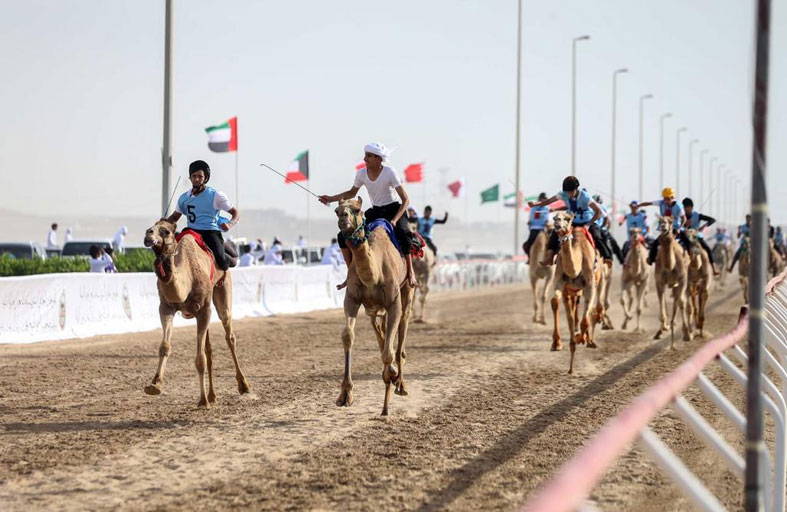 سلطان بن حمدان آل نهيان: دعم القيادة الرشيدة لسباقات الهجن حقق لها مكانة رفيعة