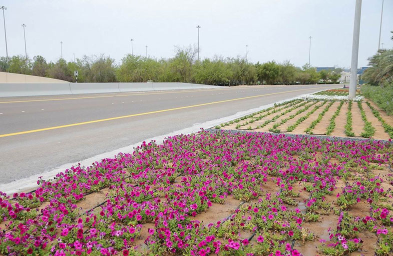 بلدية مدينة أبوظبي تنجز أعمال تجميل مدخل أبوظبي قرب جسر أم النار