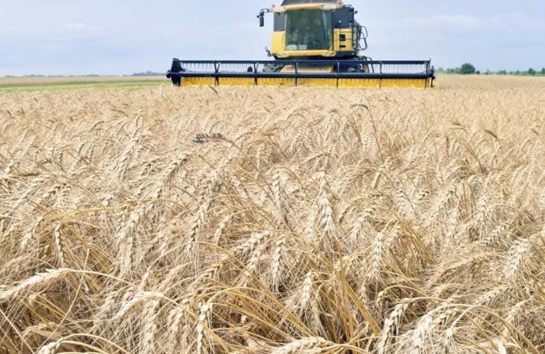 الحبوب والأسمدة.. مناورة بوتن الجديدة أمام عقوبات الغرب