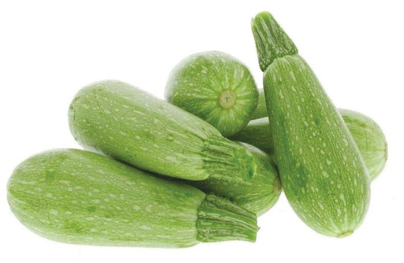 فوائد الكوسا