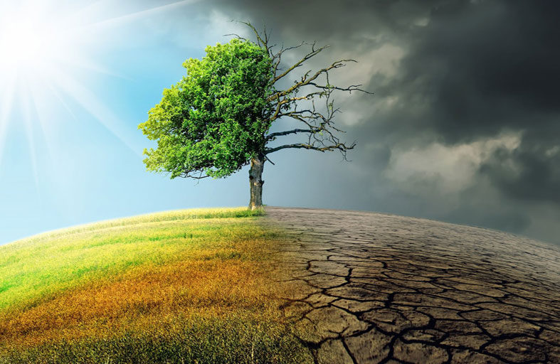 « cop27».. اختبار جديد للتعاون الدولي في مواجهة التغير المناخي