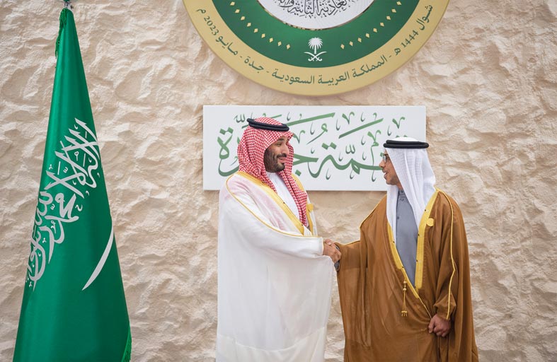 منصور بن زايد يؤكد دعم الإمارات ومساندتها كل خطوة تعزز التوافق والاستقرار والسلام في المنطقة