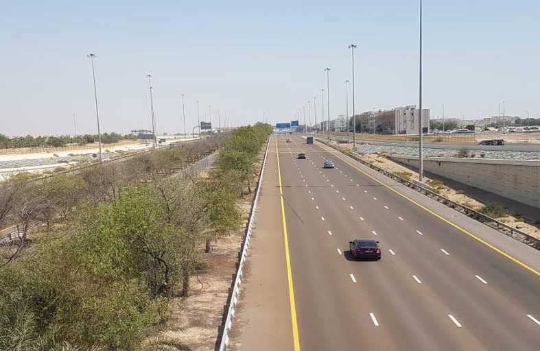 بلدية مدينة أبوظبي تقلّم وتجمّل أكثر من 13 ألف شجرة لتعزيز المظهر الجمالي للشوارع