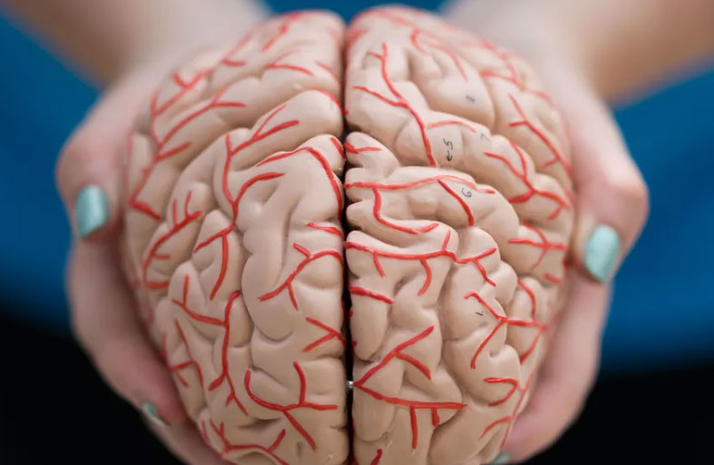 عقار من أكيومن لعلاج ألزهايمر يجتاز اختبارا أوليا للسلامة