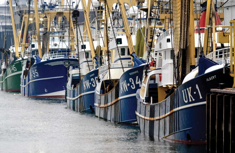 الاتحاد الأوروبي يقر صفقة بريكست التجارية