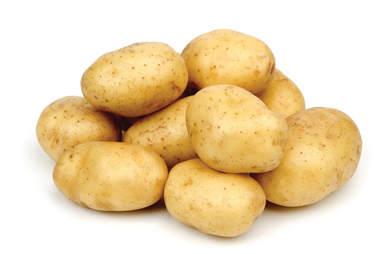 البطاطا 