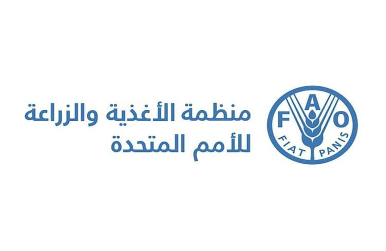 الفاو: أسعار الغذاء العالمية سجلت في أكتوبر أعلى مستوى في 18 شهرا