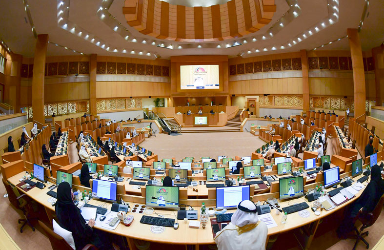 إنجازات تشريعية ورقابية ودبلوماسية برلمانية للمجلس الوطني الاتحادي في 2020