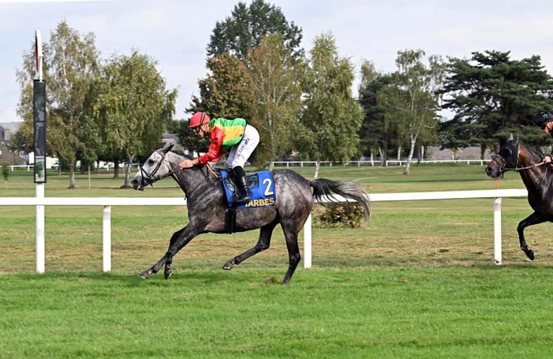 23 خيلاً تتنافس في سباقي الوثبة بفرنسا اليوم