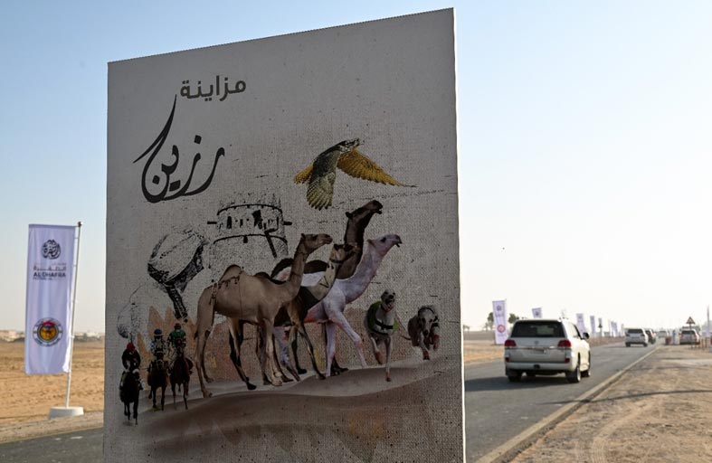 انطلاق منافسات مزاينة رزين المحطة الثانية من مهرجان الظفرة 14 نوفمبر الجاري