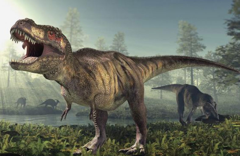 «قيء الديناصورات» يكشف أسرار حياة الكائنات ما قبل التاريخ