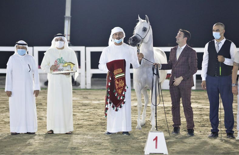 مربط دبي ملك إنتاج أبطال مهرجان الشارقة كلباء للجواد العربي