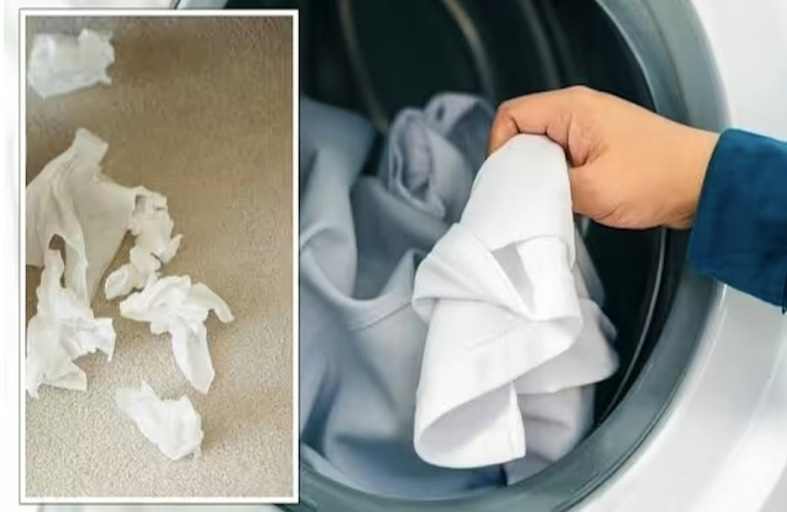 أفضل طريقة لإزالة المناديل الورقية المغسولة من الألبسة