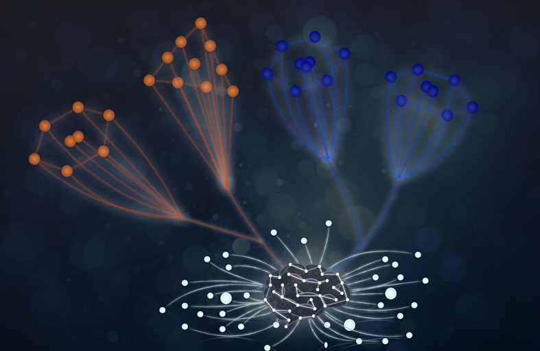 «نيويورك أبوظبي» تنجز دراسة بحثية حول الذكاء الاصطناعي وعلم فيزياء الجزيئات