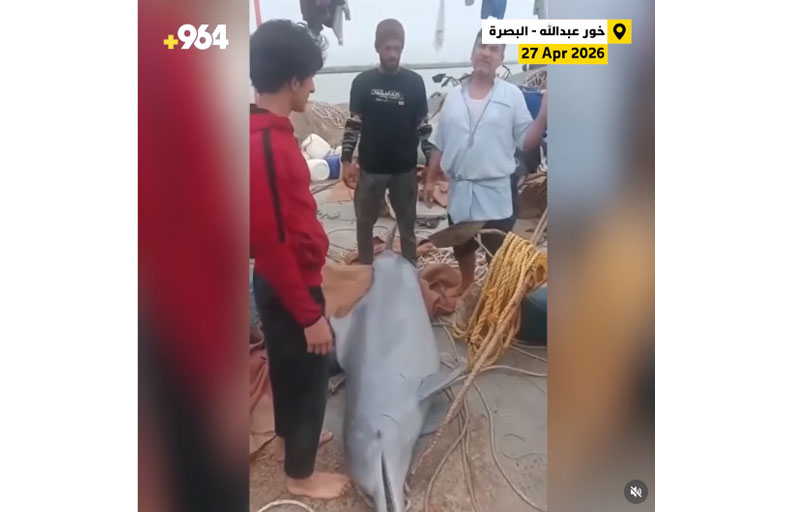 تفاخر صيادين باصطياد دولفين يثير انتقادات 