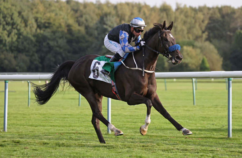 اليوم.. 9 خيول تتنافس على  «كأس الوثبة» في فرنسا