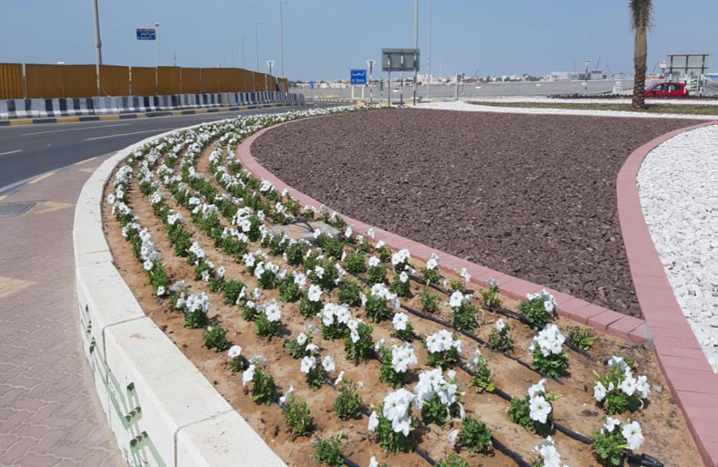 بلدية مدينة أبوظبي تواصل تجميل المرافق العامة في الباهية