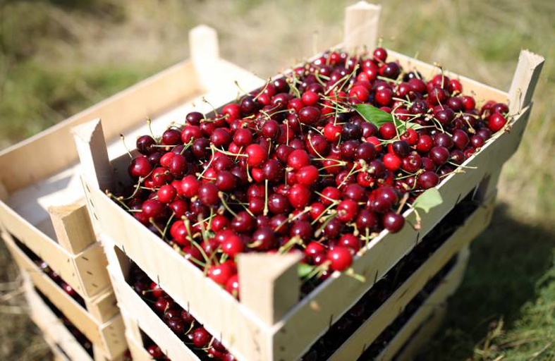 9 فوائد مذهلة للكرز