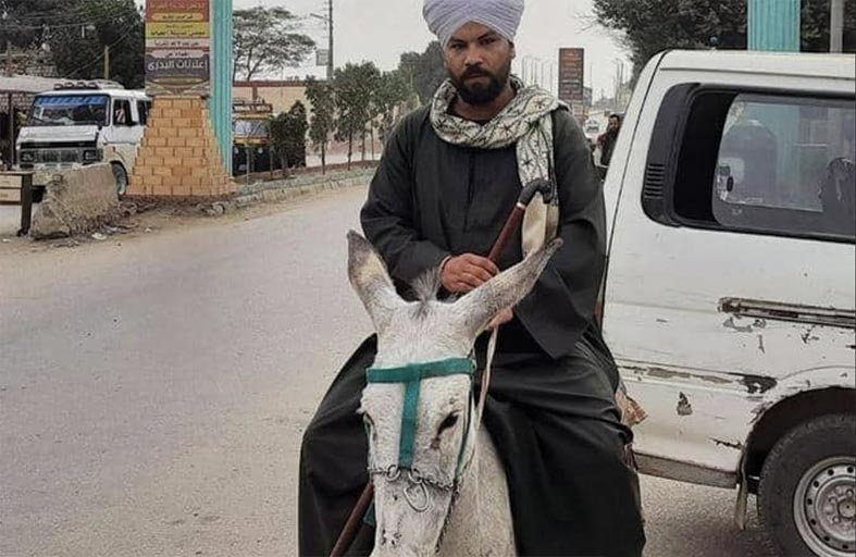 يقطع 1000 كيلومتر على ظهر حمار