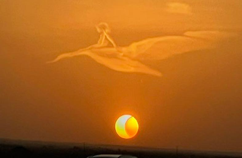 طفل على ظهر طير