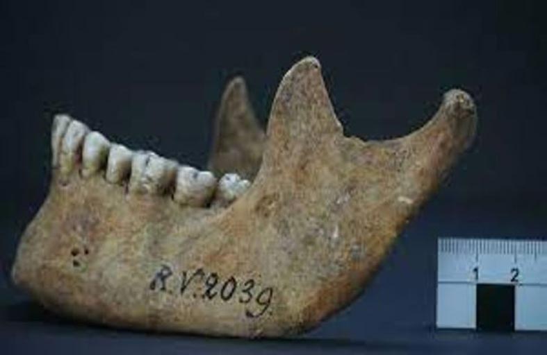 أول مصاب بالطاعون.. صياد قبل 5 آلاف سنة