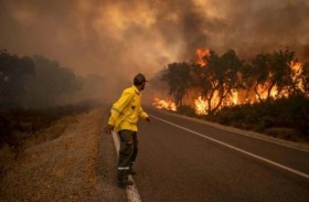 تكثيف الجهود للسيطرة على حرائق المغرب 